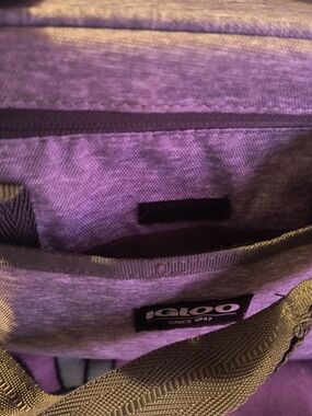 Igloo Grey Insulated Cooler Tote
